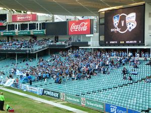The dedicated Sydney FC fans