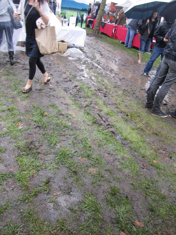 A very muddy festival