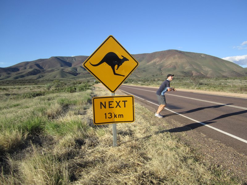 Look out... there's a Kangaroo