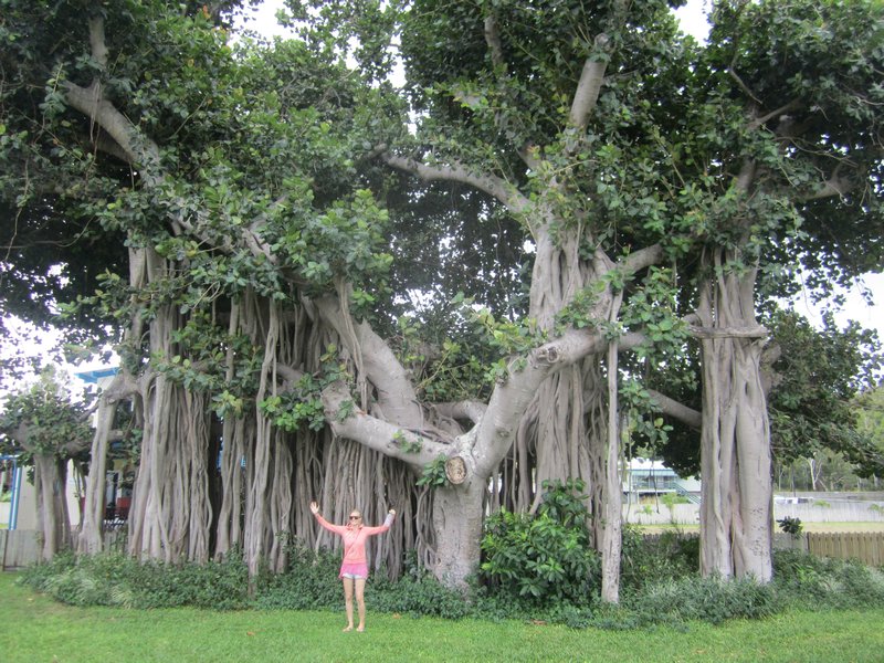 Jo with Mangrove trees
