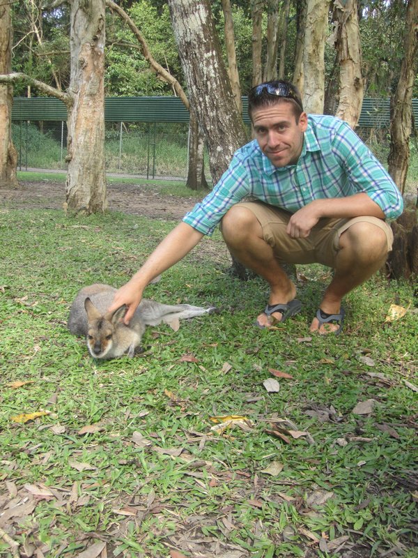 Will and a Wallaby