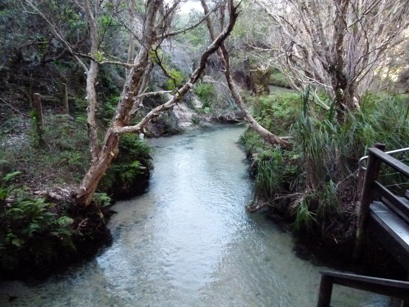 Eli Creek 3