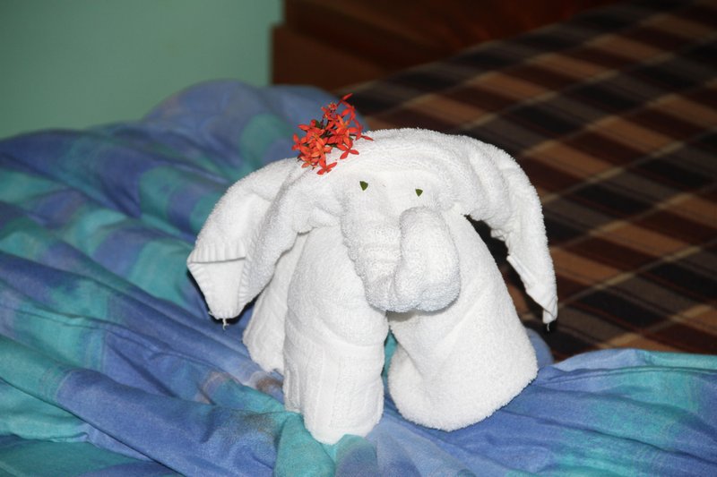Elephant Towels