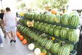 Watermelon Rack