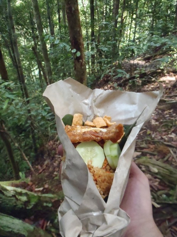 Jungle lunch