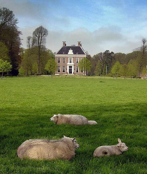 Dutch Countryside Home