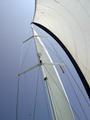 Tall Sail
