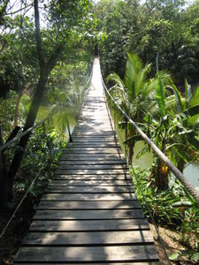 Bridge to paradise