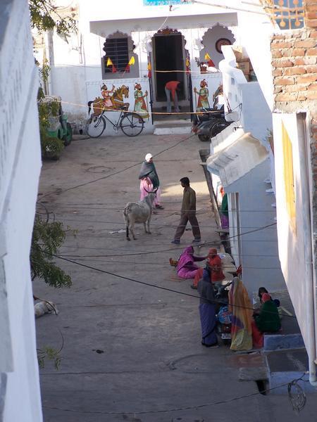 Udaipur street
