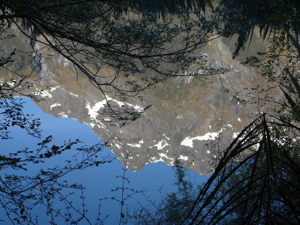 Mirror lake on the way to Milford Sound