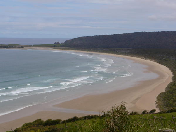 The Catlins - on the very south coast.