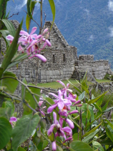 A house in Macchu Picchu