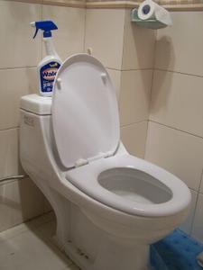 My New Toilet Seat