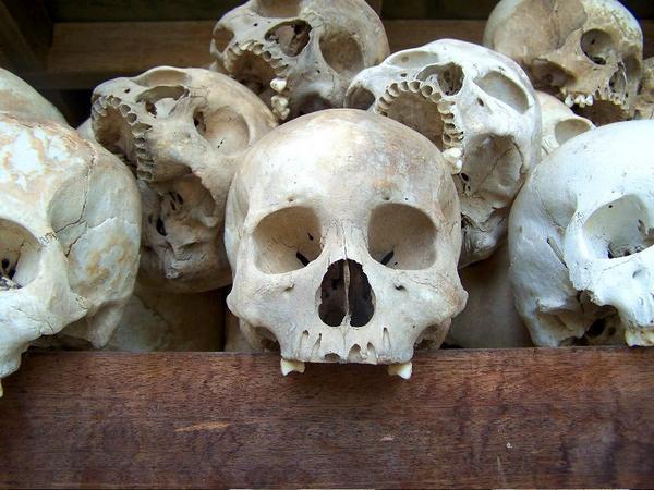 Skulls of Victims