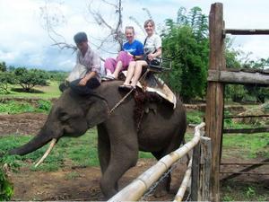 Elephant Ride!