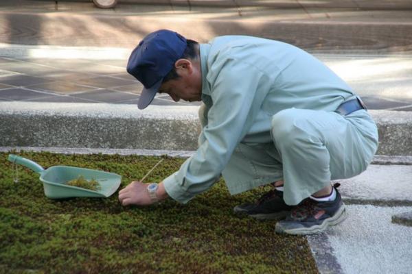 Gardener in Kyoto