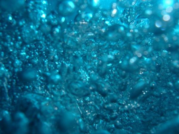 Underwater Impressions 01