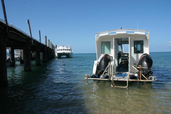 Dunk Island - Water Taxi