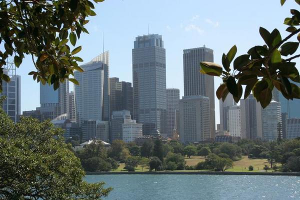 Sydney Skyline, as seen from the Royal Botanical Garden