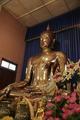 Buddha af det pureste guld