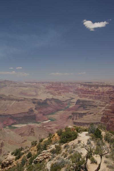 Grand Canyon udsigt.