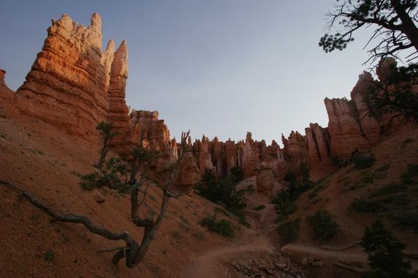 Morgen i Bryce  Canyon