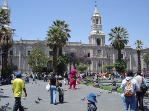 Arequipa and Barney
