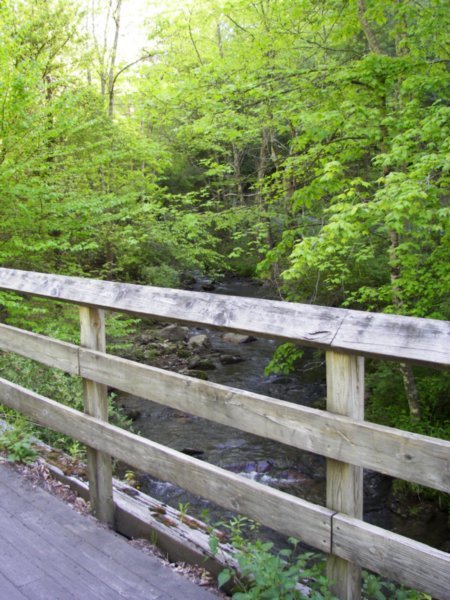 A stream under one of the many trestles