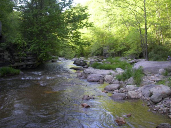 More stream, more rocks