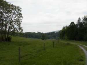 Pasture by the trail