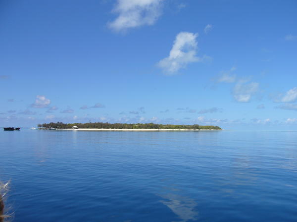 Heron Island.