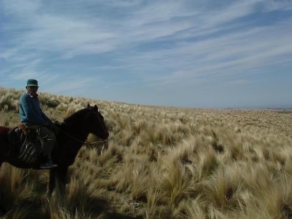 our gaucho guide amongst the golden grass