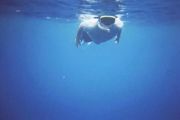 David snorkelling