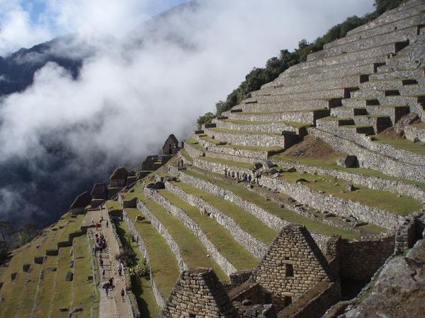 Magnificent terraces of Macchu Pichu