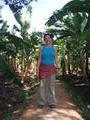 Louise amid the banana groves