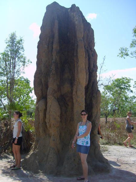 The Cathedral termite mound