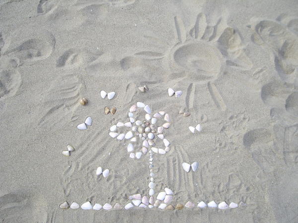 Our shell picture!