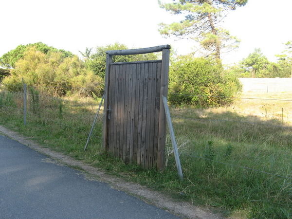 Door in a fence