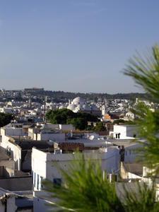 Rooftop View of Tunis