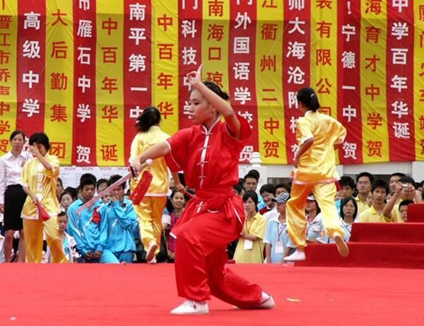 Martial Arts Performance