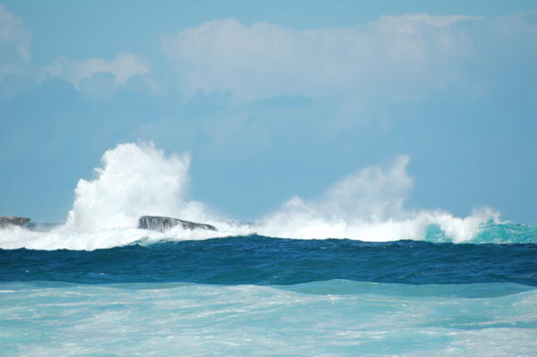 The waves at Bondi