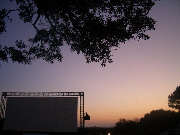 Moonlight cinema