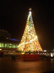 Christmas Tree - Darling Harbour, Sydney