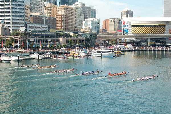 Dragon Boat racing in Darling Harbour
