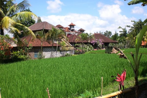 Our hotel in Ubud