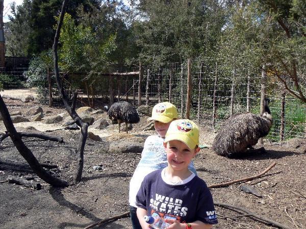 Bradley&Nathan with the Emu's