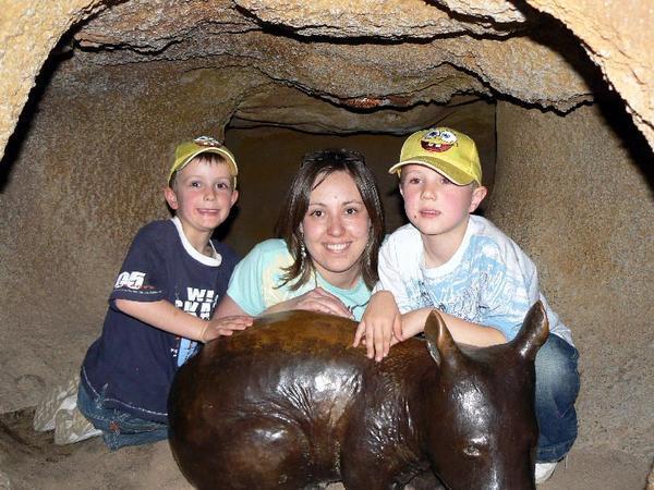 The Wombat Family