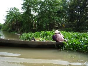 Vietnamienne dans le Delta du Mekong