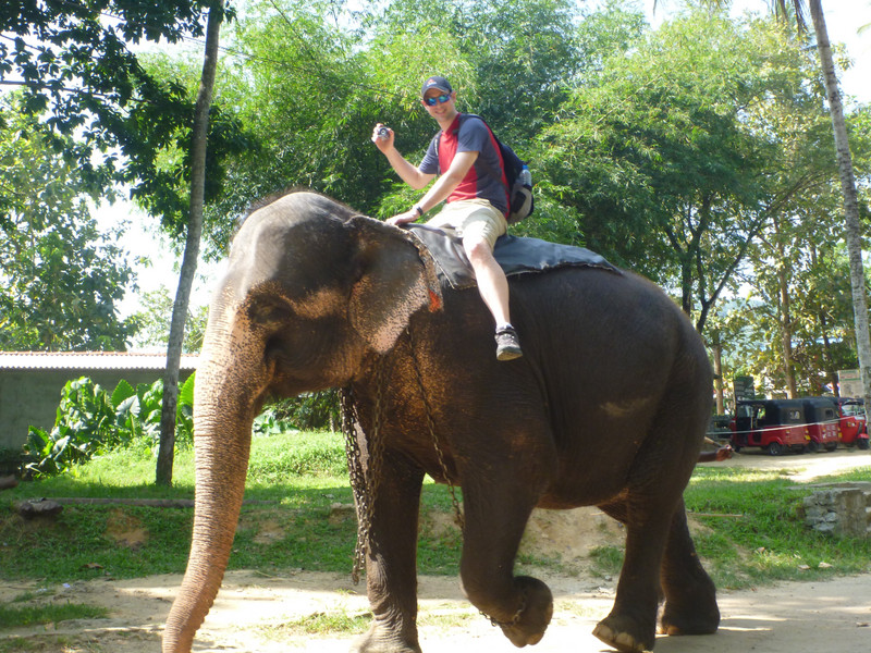 Tour d'éléphant