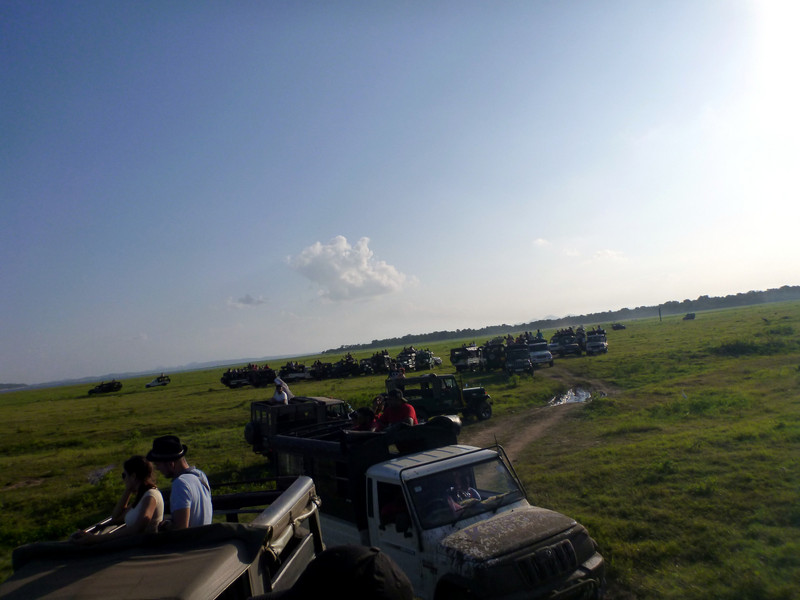 Derby de jeeps au Parc National de Kaudulla